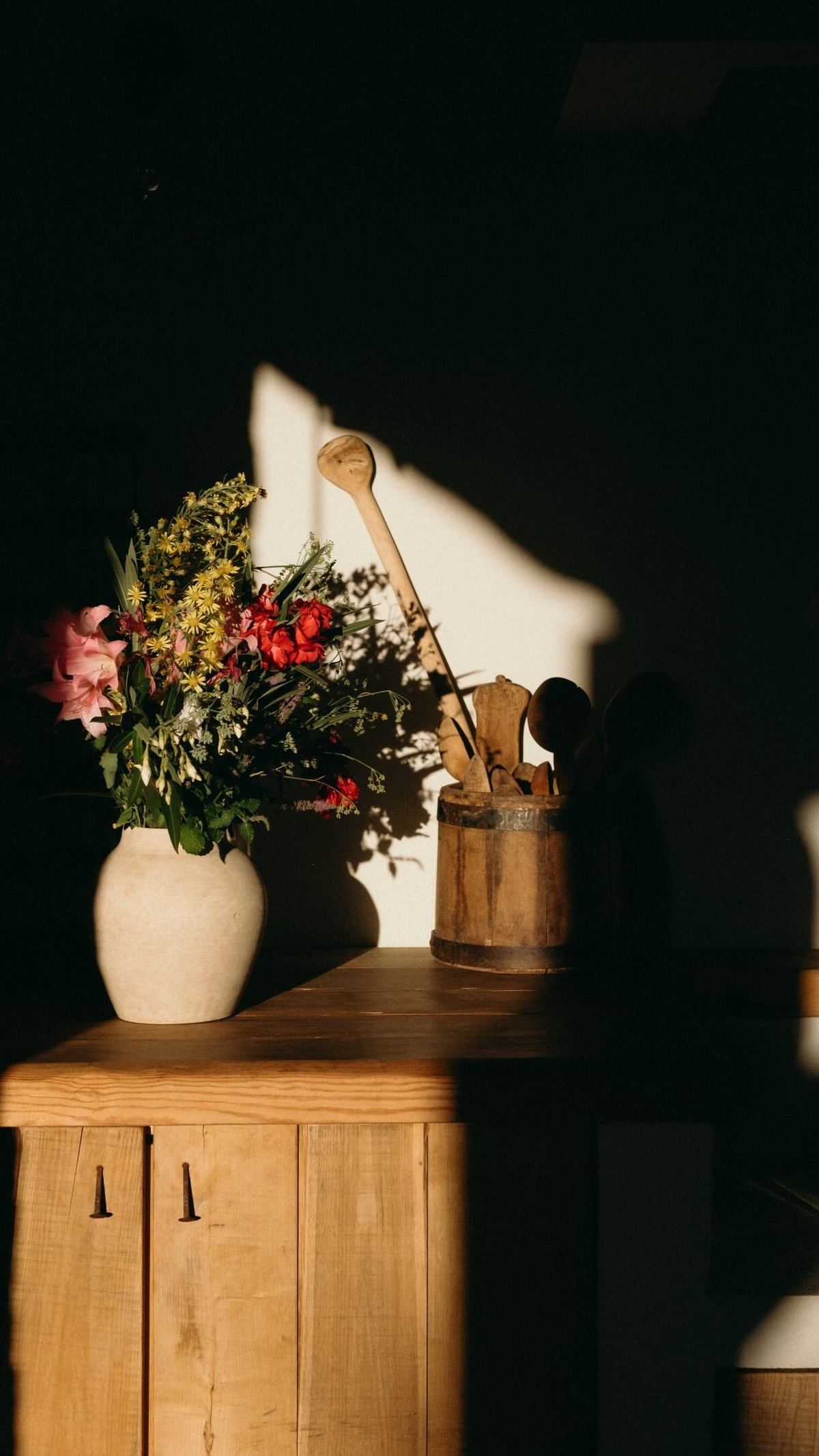 Un bouquet de fleurs du maquis éclairé par le soleil du soir